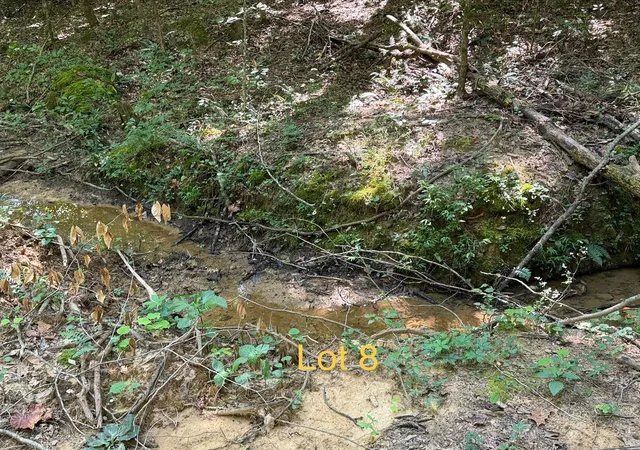Photo 2 of Land for sale at 5664 Ky 1546 #Lot 8, Monticello, KY 42633 | MLS# 26025141 | Listing updated on 2026-09-12