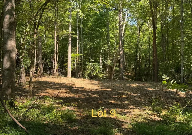 Land for sale at 5664 Ky 1546 #Lot 9, Monticello, KY 42633 | MLS# 26025142