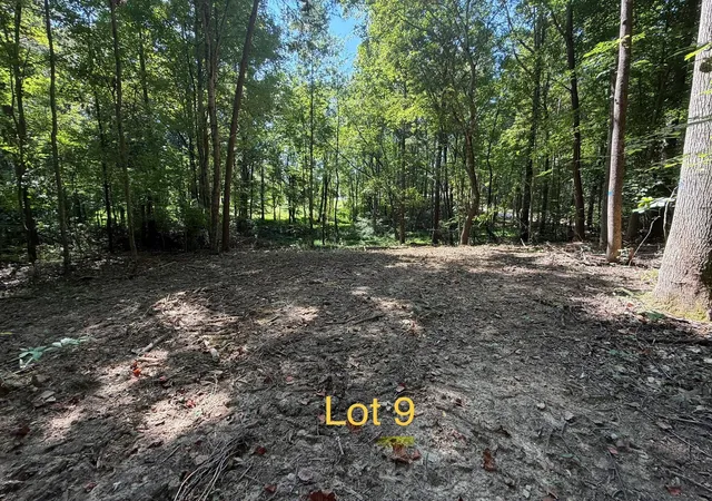 Photo 1 of Land for sale at 5664 Ky 1546 #Lot 9, Monticello, KY 42633 | MLS# 26025142 | Listing updated on 2026-09-12