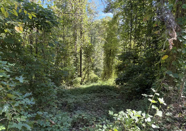 Photo 3 of Land for sale at 0000 Mountain View Rd, Williamsburg, KY 40769 | MLS# 26025331 | Listing updated on 2026-09-15