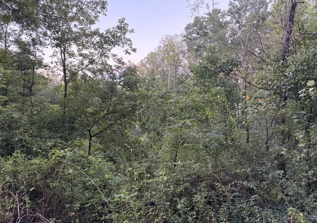 Photo 4 of Land for sale at 0000 Mountain View Rd, Williamsburg, KY 40769 | MLS# 26025331 | Listing updated on 2026-09-15
