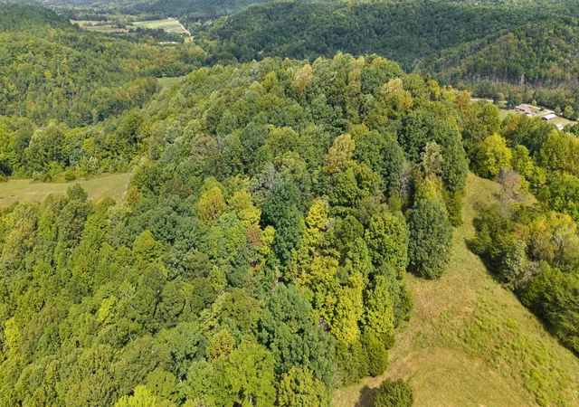 Photo 2 of Land for sale at 7 Snow Rd, Middleburg, KY 42541 | MLS# 26025145 | Listing updated on 2026-09-12