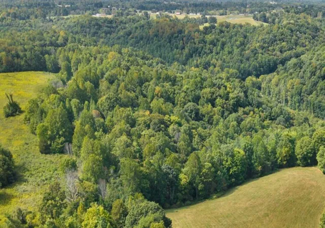 Photo 4 of Land for sale at 7 Snow Rd, Middleburg, KY 42541 | MLS# 26025145 | Listing updated on 2026-09-12
