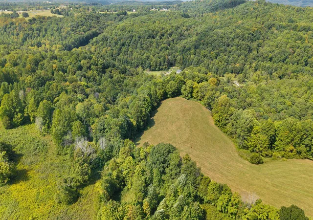 Photo 4 of Land for sale at 720 Snow Rd, Middleburg, KY 42541 | MLS# 26025146 | Listing updated on 2026-09-12
