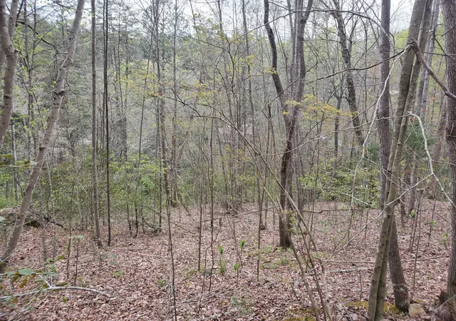 Photo 1 of Sale Pending at Lot 35 Lot 36 Boulder Dr, London, KY 40741 | MLS# 26025297 | Listing updated on 2026-09-15