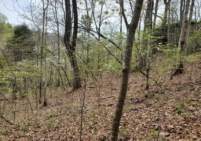 Photo 2 of Sale Pending at Lot 35 Lot 36 Boulder Dr, London, KY 40741 | MLS# 26025297 | Listing updated on 2026-09-15