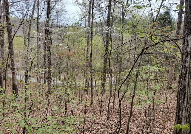 Photo 3 of Sale Pending at Lot 35 Lot 36 Boulder Dr, London, KY 40741 | MLS# 26025297 | Listing updated on 2026-09-15