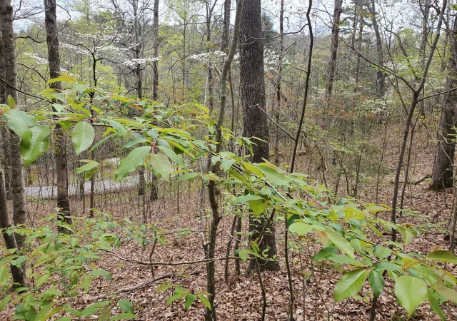 Photo 3 of Sale Pending at Lot 35-lot 36 Boulder Dr, London, KY 40741 | MLS# 26025297 | Listing updated on 2026-09-15