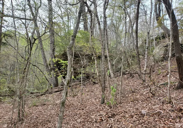 Photo 4 of Sale Pending at Lot 35-lot 36 Boulder Dr, London, KY 40741 | MLS# 26025297 | Listing updated on 2026-09-15