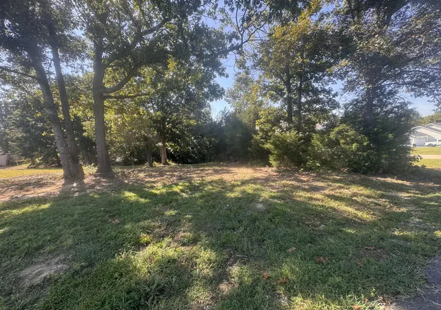 Photo 4 of Land for sale at 177 Corinne Dr, Eddyville, KY 42038 | MLS# 26025326 | Listing updated on 2026-09-14