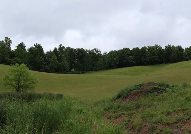 Photo 3 of Land for sale at 4135 Big Andy Rdg Tract 3 Rd #Tracts 1,2,3,4, Rogers, KY 41365 | MLS# 26025332 | Listing updated on 2026-09-15