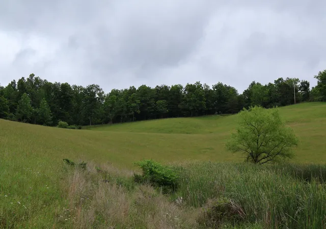 Photo 3 of Land for sale at 4135 Big Andy Rdg Tract 3 Rd #Tracts 1,2,3,4, Rogers, KY 41365 | MLS# 26025332 | Listing updated on 2026-09-15