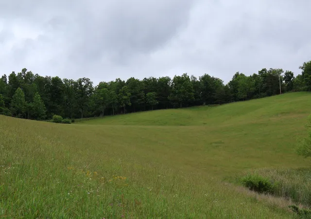 Photo 4 of Land for sale at 4135 Big Andy Rdg Tract 3 Rd #Tracts 1,2,3,4, Rogers, KY 41365 | MLS# 26025332 | Listing updated on 2026-09-15