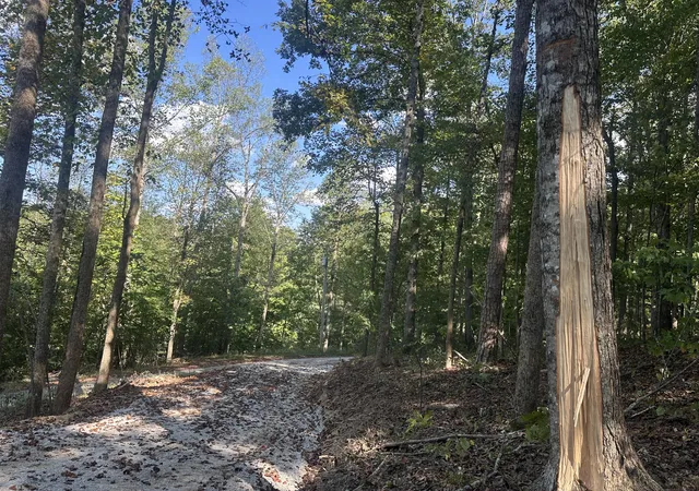 Photo 3 of Land for sale at 591 Rocky Branch Rd, East Bernstadt, KY 40729 | MLS# 26025724 | Listing updated on 2026-10-13