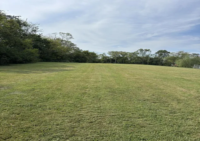 Photo 1 of Land for sale at 0 Hogg Ridge Rd, Williamstown, KY 41097 | MLS# 26025782 | Listing updated on 2026-10-13