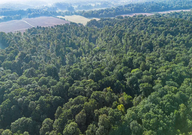 Photo 1 of Land for sale at 000 0 Irma White Rd, Marion, KY 42064 | MLS# 26025751 | Listing updated on 2026-09-17
