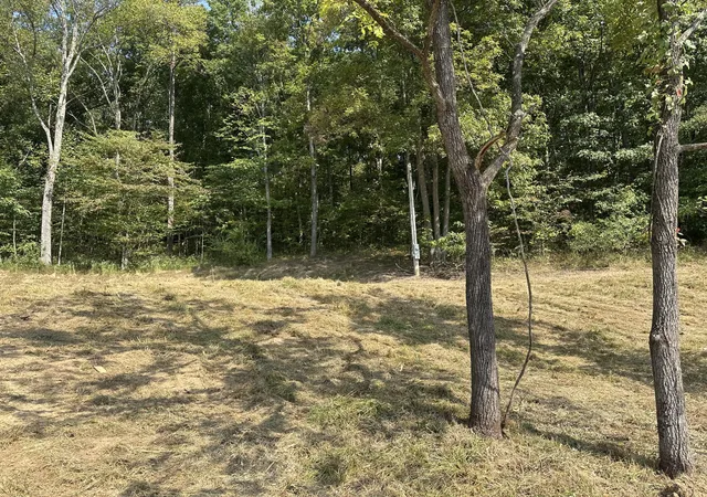 Photo 2 of Land for sale at Lot 65 Bluestone Dr, East Bernstadt, KY 40729 | MLS# 26025912 | Listing updated on 2026-10-13