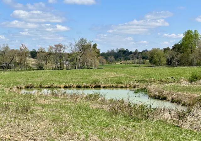 Photo 4 of House for sale at 428 Dick Wilson Rd, Strunk, KY 42649 | MLS# 26025913 | Listing updated on 2026-10-13
