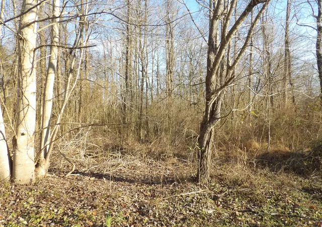 Photo 1 of Land for sale at 312 Blakely Ln, Middlesboro, KY 40965 | MLS# 26025959 | Listing updated on 2026-09-19