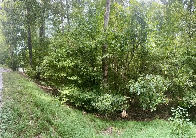 Land for sale at Lot 24e Lot 25e Lot 26e Parkersville Rd, Eddyville, KY 42038 | MLS# 26026007