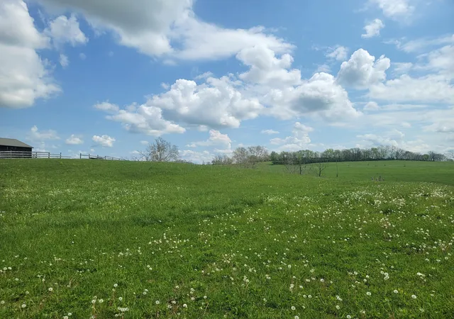 Photo 3 of Land for sale at Lot A White Oak Rd, Stamping Ground, KY 40379 | MLS# 26026057 | Listing updated on 2026-10-13