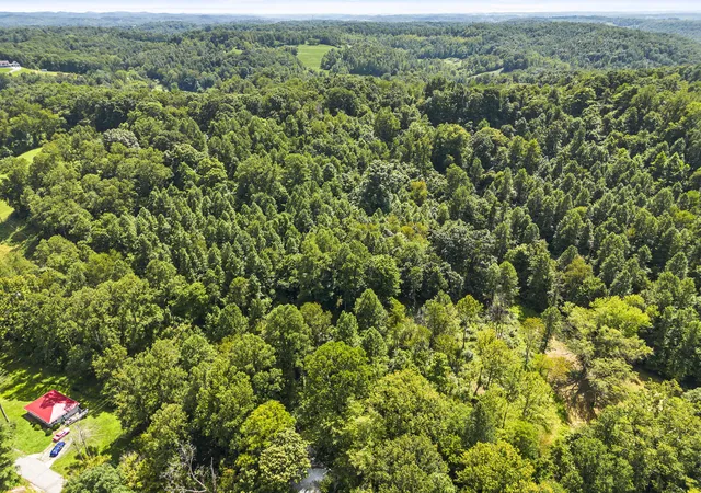 Land for sale at 2206 W Ike Patton Dr, Ashland, KY 41102 | MLS# 26026130