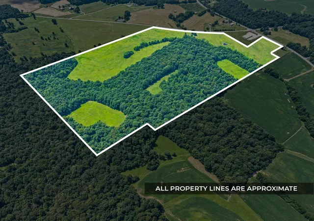Photo 2 of Land for sale at 0 Highway 672, Princeton, KY 42445 | MLS# 26026419 | Listing updated on 2026-09-24