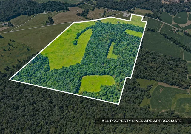 Photo 3 of Land for sale at 0 Highway 672, Princeton, KY 42445 | MLS# 26026419 | Listing updated on 2026-09-24