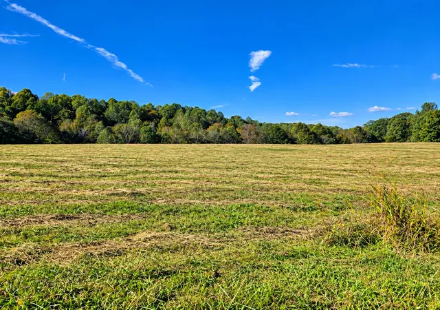 Photo 4 of House for sale at 376 Statham Rd, Liberty, KY 42539 | MLS# 26026557 | Listing updated on 2026-10-13