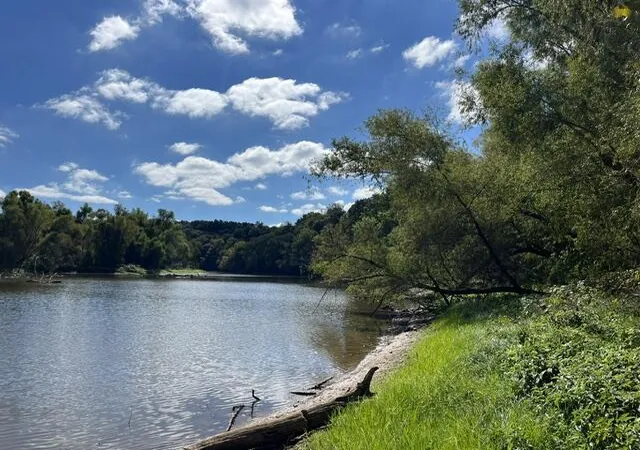 Land for sale at 054 Forest Cir Lots 54 & 137, Cadiz, KY 42211 | MLS# 26026573
