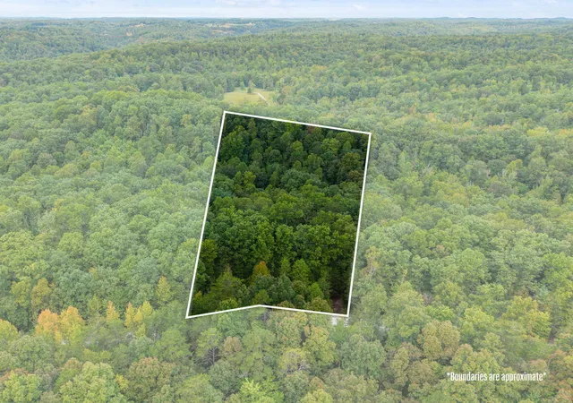 Land for sale at Lot 29 Angel Fls Rd, Beattyville, KY 41311 | MLS# 26026815