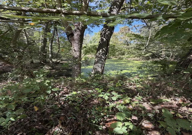 Photo 1 of Land for sale at 000 State Route 121, Bardwell, KY 42023 | MLS# 26026757 | Listing updated on 2026-09-28
