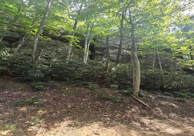 Photo 1 of Land for sale at Lot 113 Fixer Rd, Zoe, KY 41397 | MLS# 26026773 | Listing updated on 2026-10-13