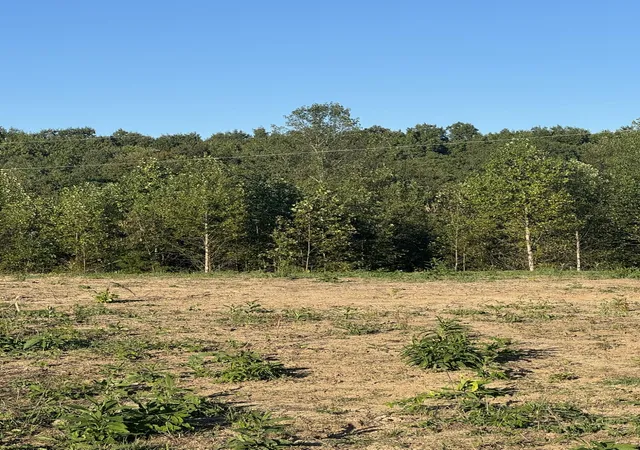 Photo 4 of Land for sale at 0001 Decatur Rd, Russell Springs, KY 42642 | MLS# 26026882 | Listing updated on 2026-10-13