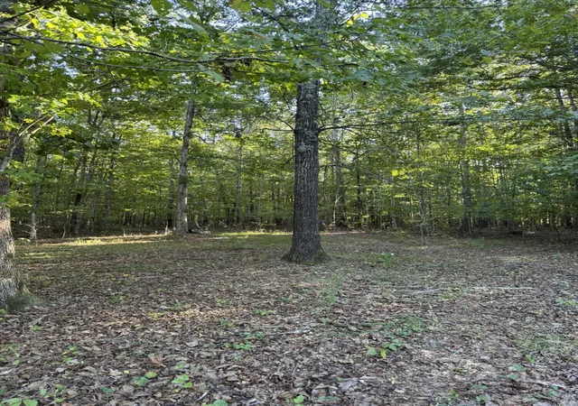 Photo 1 of Land for sale at 0003 Decatur Rd, Russell Springs, KY 42642 | MLS# 26026881 | Listing updated on 2026-10-13
