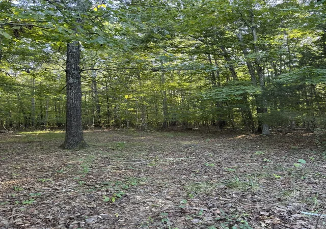 Photo 2 of Land for sale at 0003 Decatur Rd, Russell Springs, KY 42642 | MLS# 26026881 | Listing updated on 2026-10-13