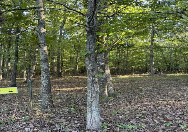 Photo 3 of Land for sale at 0003 Decatur Rd, Russell Springs, KY 42642 | MLS# 26026881 | Listing updated on 2026-10-13