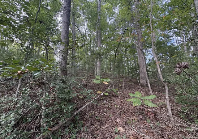 Photo 1 of Land for sale at 0009 Fincastle #9, Rogers, KY 41365 | MLS# 26026837 | Listing updated on 2026-10-13