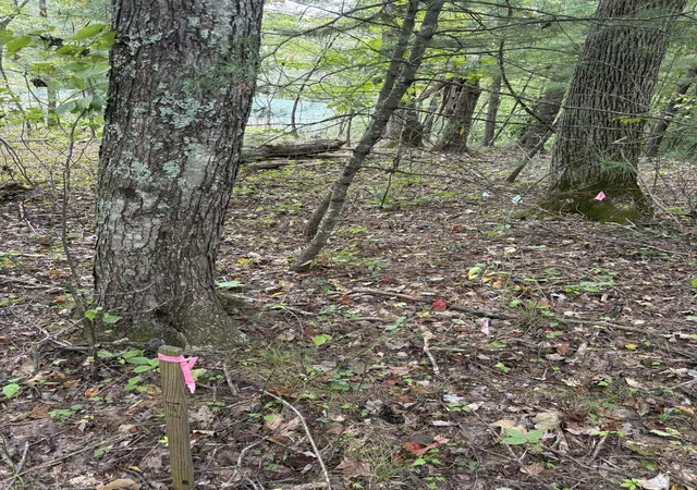 Photo 1 of Land for sale at 0003 Fincastle #3, Rogers, KY 41365 | MLS# 26026843 | Listing updated on 2026-10-13