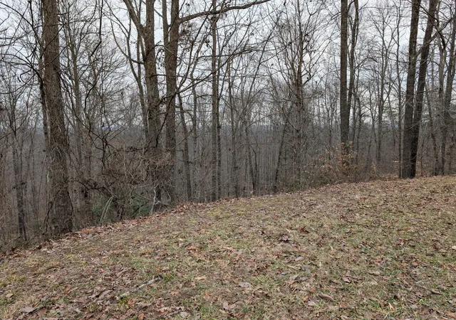 Photo 2 of Land for sale at 9999 Tip Top Rd, Beattyville, KY 41311 | MLS# 26026880 | Listing updated on 2026-10-13