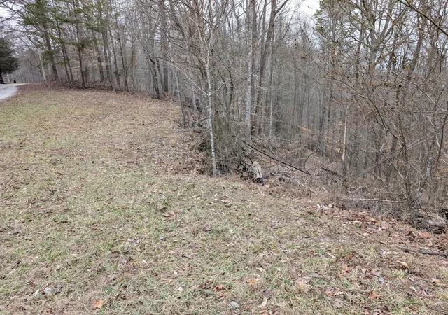 Photo 4 of Land for sale at 9999 Tip Top Rd, Beattyville, KY 41311 | MLS# 26026880 | Listing updated on 2026-10-13