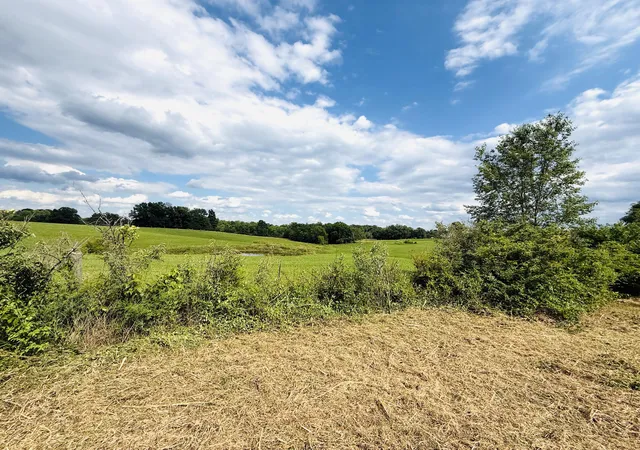 Photo 3 of Sale Pending at 729 Oakland Ln, Harrodsburg, KY 40330 | MLS# 26027266 | Listing updated on 2026-10-21