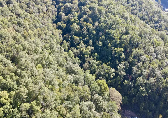 Photo 2 of Sale Pending at 0000 SE Licking River Rd, Salyersville, KY 41465 | MLS# 26027077 | Listing updated on 2026-10-28