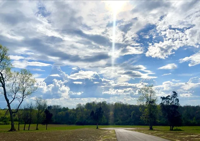 Photo 2 of Land for sale at 101 Friesian Ct #Lot 6, Wilmore, KY 40390 | MLS# 26027215 | Listing updated on 2026-10-13