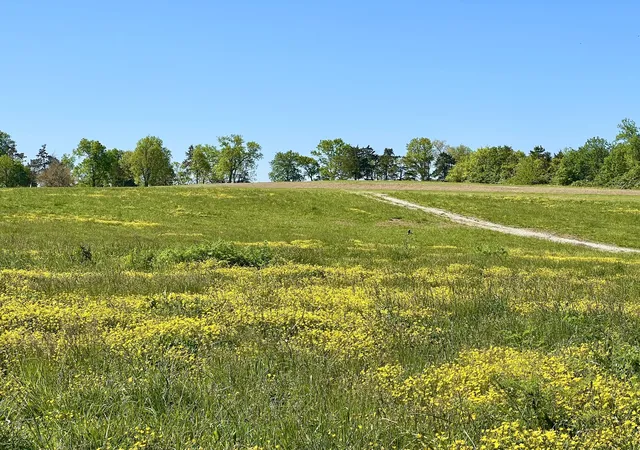 Photo 1 of Land for sale at 401 Appaloosa Trl #Lot 17, Wilmore, KY 40390 | MLS# 26027217 | Listing updated on 2026-10-15