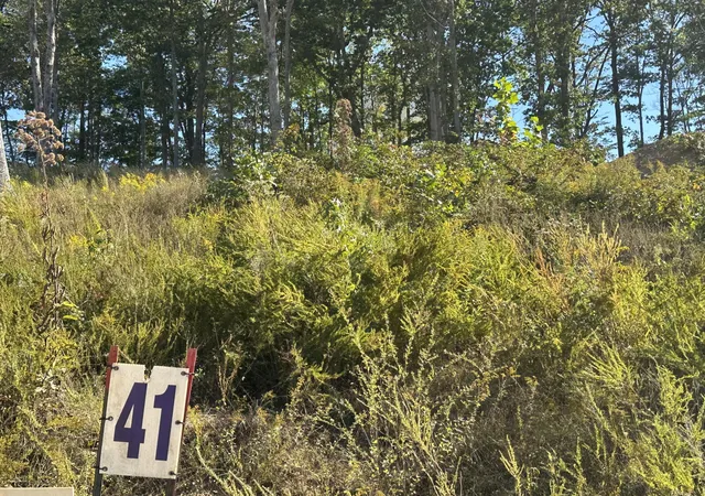 Photo 2 of Land for sale at 200 Malibu Dr #Lot 41, Corbin, KY 40701 | MLS# 26027229 | Listing updated on 2026-10-13