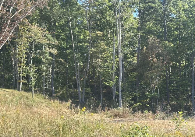 Photo 3 of Land for sale at 285 Hollywood Dr #Lot 79, Corbin, KY 40701 | MLS# 26027242 | Listing updated on 2026-10-13