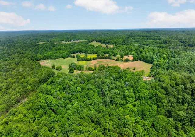 Photo 3 of Land for sale at 12757 Ac Homer Watson Rd, Burkesville, KY 42717 | MLS# 26027308 | Listing updated on 2026-10-02