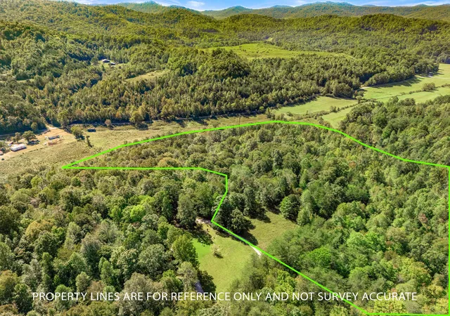 Photo 3 of Land for sale at 9999 Hamblin Holw Rd, Williamsburg, KY 40769 | MLS# 26027349 | Listing updated on 2026-10-09