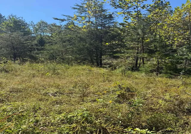 Photo 1 of Land for sale at 3825 Highway 191, West Liberty, KY 41472 | MLS# 26027443 | Listing updated on 2026-10-13